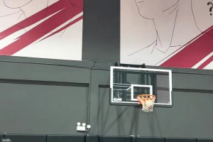 瀚森说NBA更文明？马布里笑谈：确实！没有杜锋那种绊你的教练